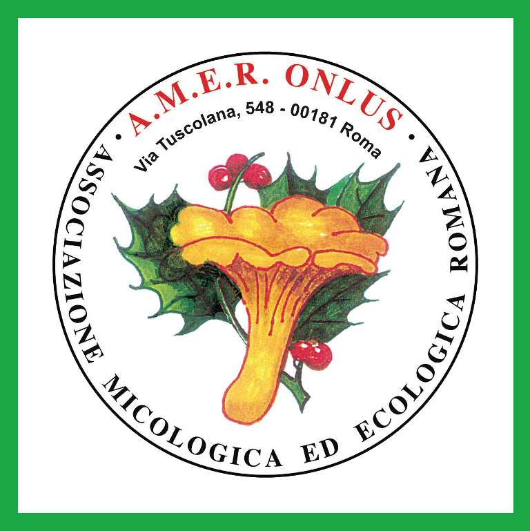 associazione amer